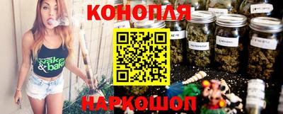 гашик Донской