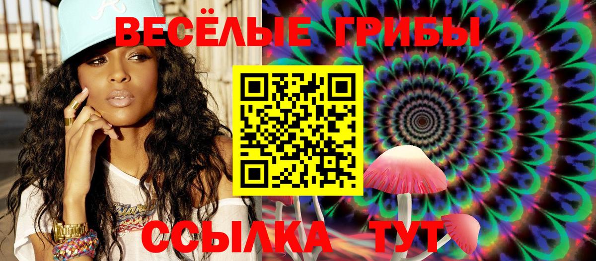 наркотики  Псилоцибиновые грибы прущие грибы  Вход с VPN  Лосино-Петровский 