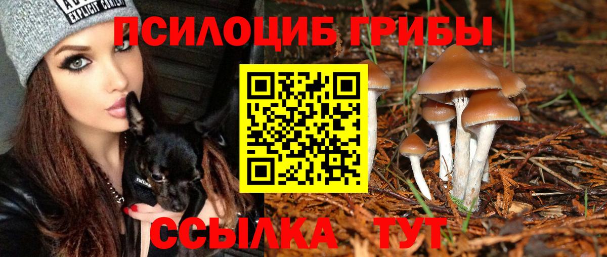 Псилоцибиновые грибы ЛСД Лосино-Петровский